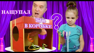 НАЩУПАЙ И УГАДАЙ ЧТО В КОРОБКЕ ЧЕЛЛЕНДЖ! Vika Funny Family