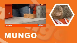 Mungo MCS-A - Concrete Screw