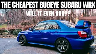 I Bought the CHEAPEST Subaru WRX in the country | Am I CRAZY??!!