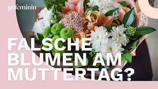 Diese Blumen gehören nicht in den Muttertagsstrauß