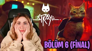 AĞLATAN FİNAL VE KAPANIŞ.. | STRAY #6 (FİNAL)