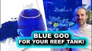 Blue Goo for your Reef Tank - Phycocyanin
