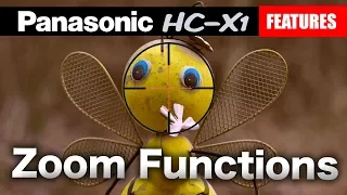 Panasonic HC-X1 Video Camera Zoom Review, Tutorial & Examples