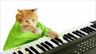 Keyboard Cat's Wonderful Pistachios Commercial! With Slowing Motion