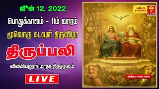 12 June 2022  Evening Mass | Villianur Lourdes Shrine | Holy Cross Tv | Daily Tv Mass | Today Mass