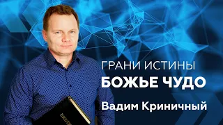 Грани Истины: Божье чудо — Вадим Криничный