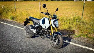 An Easy Grom Mod Must!! • Requires A Test Ride! | TheSmoaks Vlog_2813