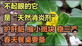 不起眼的它，是“天然消炎剂”！护肝脏、缩小斑块、稳三高，春天餐桌要备丨李医生谈健康【中医养生】