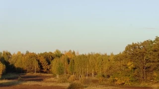 МЕЛОДИЯ ОСЕНИ. MELODY OF AUTUMN