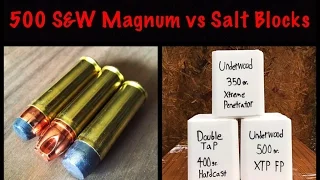 500 S&W Magnum vs Salt Blocks