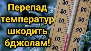 Как Защитить Пчел при зимовке на улице? | Зимовка под пленкой