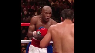 Greatest Head Movement Clips Ever Boxing