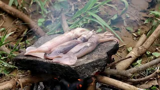Primitive Technology Grilled squid on ice, cooking very well Survival Skills