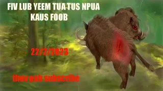 dab neeg lub yeem tua npua teb kaus foob muaj zog kawg kiag