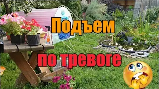 Повздорили с мужем(//Сажаю нимфеи//Сплю в берушах