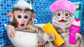 🐵Baby Monkey Bi Bon and Cat Cheese take a bath and eat Eyeball Jelly | Monkey cartoon Videos