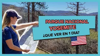 Yosemite en 1 día: Conoce los sitios más populares de Yosemite National Park en California