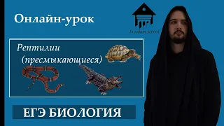 Класс Пресмыкающиеся (Рептилии) Для ЕГЭ