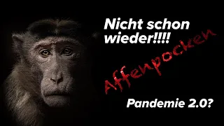 Affenpocken - Die nächste Pandemie? Deutschland wieder kurz vor dem Lockdown?