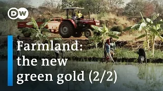 The dark side of agriculture in Ethiopia (2/2) | DW Documentary (Farming documentary)