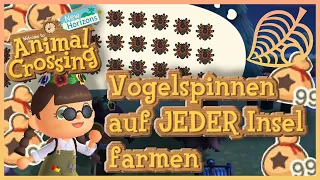 Tipps & Tricks: Vogelspinnen auf JEDER Insel farmen - ANIMAL CROSSING NEW HORIZONS