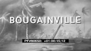 Bougainville - 1943-1945 WWII 80650