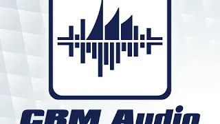 CRM Audio 107: Power Platform in the Real World