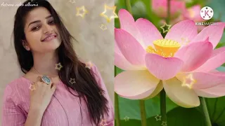 Nithya Ram (Nandini, Ganga, Janani) & nice lotus flower short video 🌷🌷💖🌷🌷🧡💛💚💙🤎🤎🖤🤍❤️..