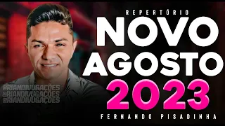 FERNANDO PISADINHA - MUSICAS NOVAS 2023 ATUALIZADO