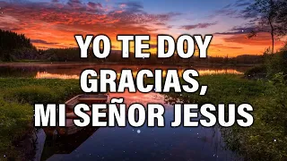 YO TE DOY GRACIAS, GRACIAS SEÑOR - Alabanzas De Adoracion - Musica Cristiana 2024