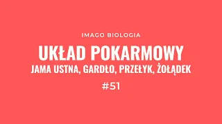 Układ pokarmowy: jama ustna, gardło, przełyk i żołądek