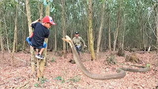 Suffocation rescue a father and son attacked by a fiery cobra while chopping wood in the forest.