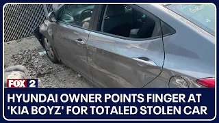 Hyundai owner points finger at 'Kia Boyz' for totaled stolen car