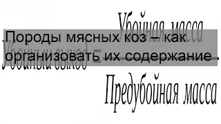 Породы мясных коз – как организовать их содержание