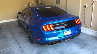 2019 Mustang EcoBoost Cold Start (Active Exhaust)