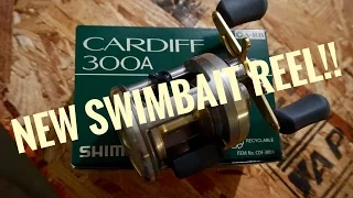 Unboxing my new swimbait reel | A few fish catches | 365 Bass Challenge