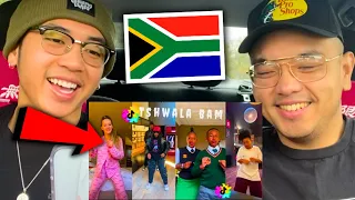 Americans React To Tshwala Bam Dance Challenge Compilation TikTok REACTION 🇿🇦 South African Amapiano