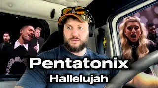 Truck Driver Reacts | Pentatonix - Hallelujah