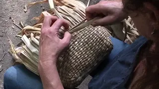 Weaving a Reed Mace Basket (bulrush)