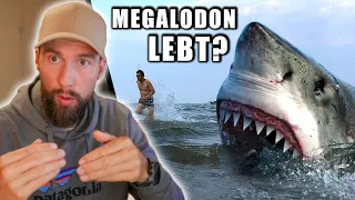 Der Megalodon existiert noch? - Meinung vom Meeresbiologen | Robert Marc Lehmann