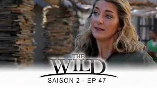 The Wild - Saison 2 - épisode 47 - Complet en français - HD 1080