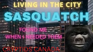 CC EPISODE 464 LIVING IN THE CITY AND SASQUATCH FOUND ME WHEN I NEEDED THEM
