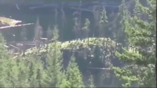Orbs appear above Bigfoot / Sasquatch - captured on camera in mountains!