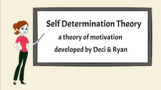 What is Self Determination Theory?