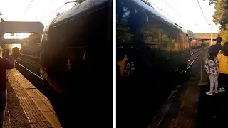 Train Hilariously Blocks View Of Hogwarts Express