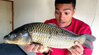 How To Prepare Koi Fish. Filleting And Cooking Huge Carp!