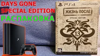 Days Gone (Жизнь после) Special Edition Распаковка