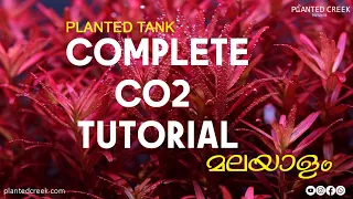 Complete CO2 Tutorial for Planted Tank #plantedcreek #malayalam #tutorial