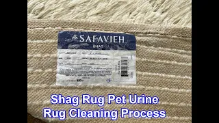 Safavieh Shag Rug Washing Process #shorts #plano #dallas #frisco