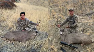 2 Big Bucks Down - California Public Land Deer Hunt